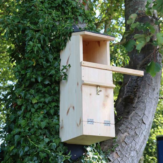 Tawny Owl nest box product photo side L