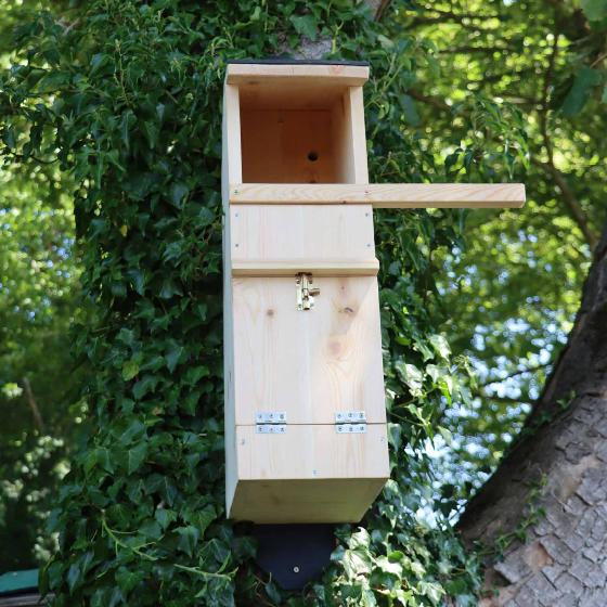 Tawny Owl nest box product photo back L