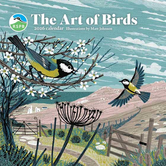 RSPB The art of birds calendar 2026 product photo default L