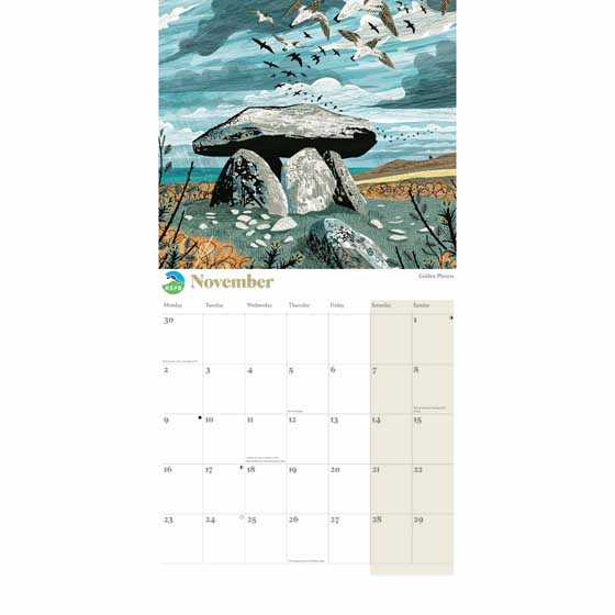 RSPB The art of birds calendar 2026 product photo side L