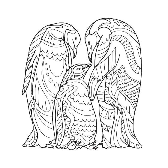 The birds colouring book product photo side L