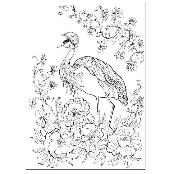 The birds colouring book product photo back L