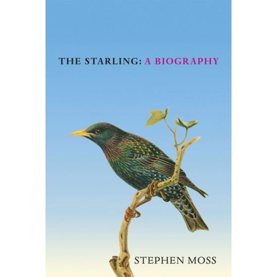 The Starling: A biography by Stephen Moss product photo default L