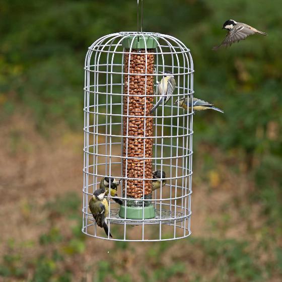 RSPB Ultimate suet pellet & peanut feeder and guardian, medium product photo default L