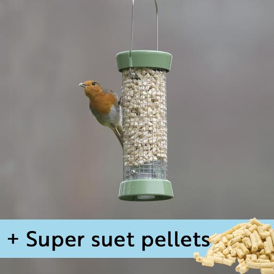 RSPB Ultimate easy-clean® small suet pellet and peanut feeder with 1kg Super suet pellets  - mealworm product photo default L