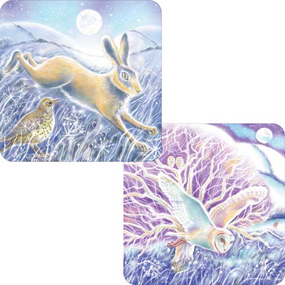 Under the moonlight owl and hare Christmas cards, pack of 10 (2 designs) product photo default L