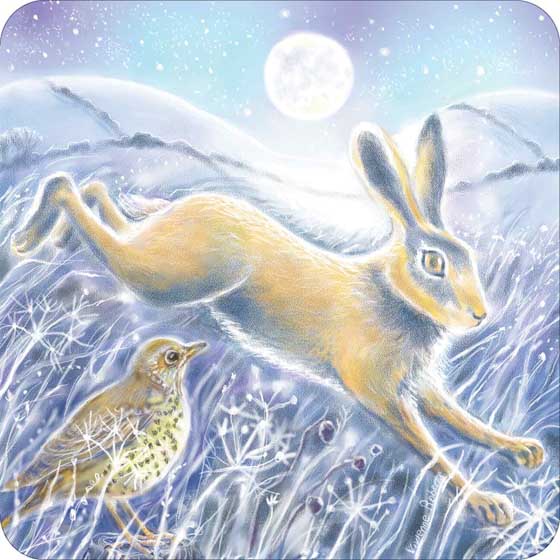 Under the moonlight owl and hare Christmas cards, pack of 10 (2 designs) product photo back L