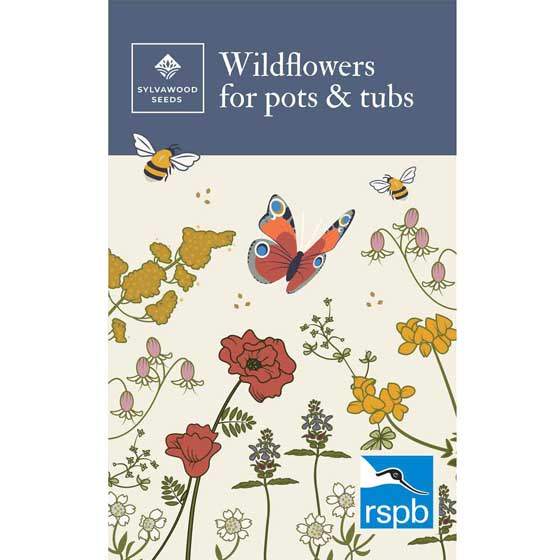 Wildflowers seeds for pots seed pack product photo default L