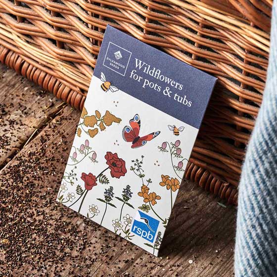 Wildflowers seeds for pots seed pack product photo side L