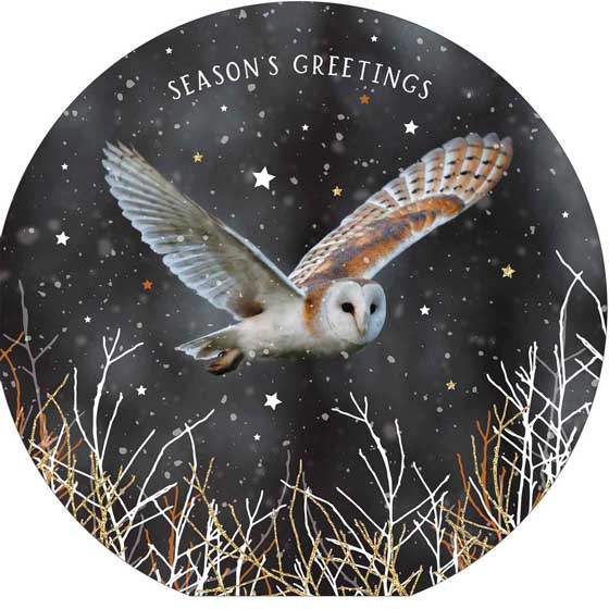 Winter creatures owl and hedgehog Christmas cards, pack of 10 (2 designs) product photo side L