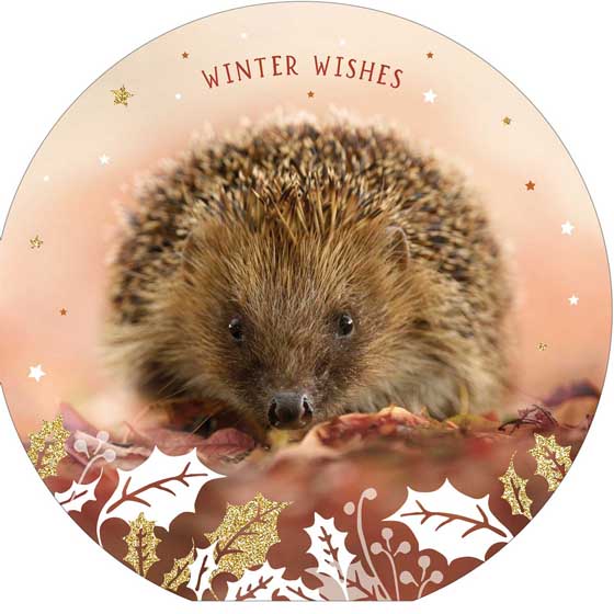 Winter creatures owl and hedgehog Christmas cards, pack of 10 (2 designs) product photo back L