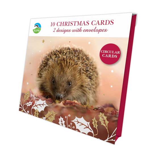 Winter creatures owl and hedgehog Christmas cards, pack of 10 (2 designs) product photo front L
