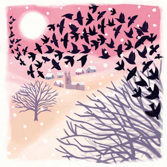 Winter murmuration Christmas cards, pack of 10 product photo default L