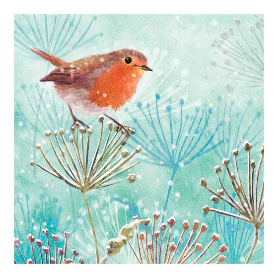 Winter robin Christmas cards, pack of 10 product photo default L