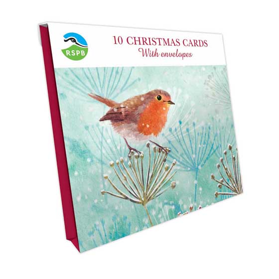 Winter robin Christmas cards, pack of 10 product photo side L