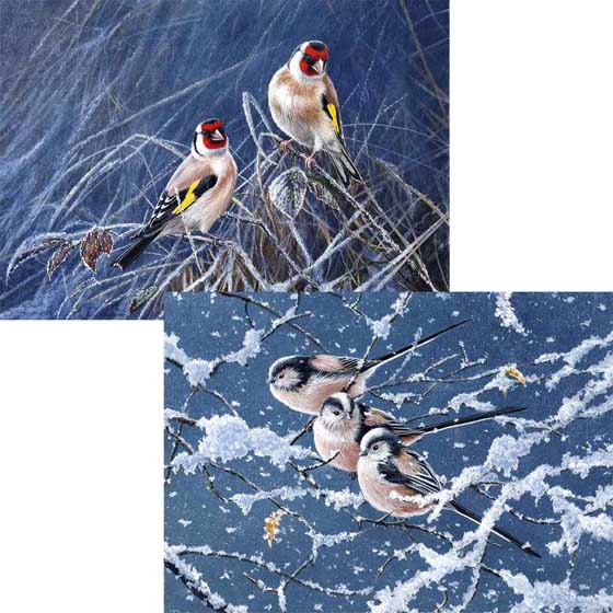 Wintry perch Christmas cards, pack of 10 (2 designs) product photo default L