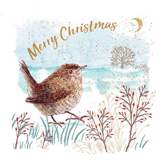 Wondrous Wren Christmas cards, pack of 10 product photo default L