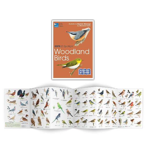 RSPB ID Spotlight - Woodland Birds product photo ai4 L