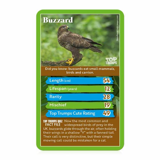 RSPB Woodland animals Top Trumps card game product photo ai5 L