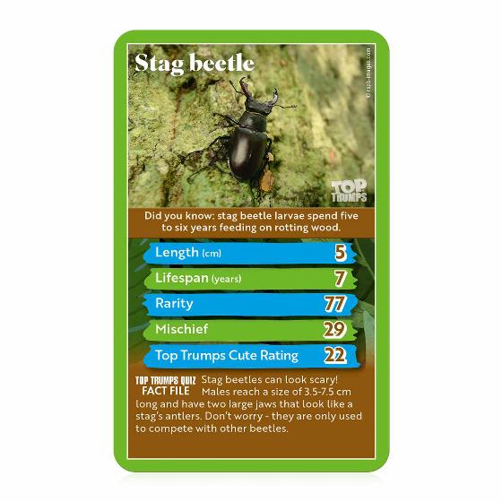 RSPB Woodland animals Top Trumps card game product photo ai6 L