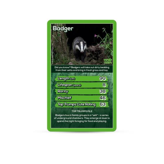 RSPB Woodland Animals Top Trumps product photo front L