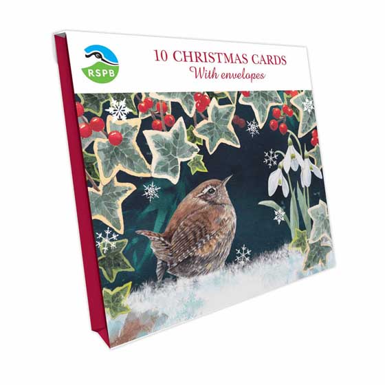 Wren and ivy Christmas cards, pack of 10 product photo side L