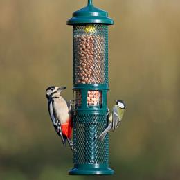 Squirrel Buster, nut and nibble feeder product photo