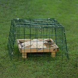 RSPB Ground bird feeder protector - wide mesh product photo