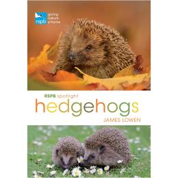 RSPB Spotlight hedgehogs product photo