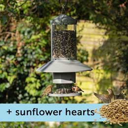 Automatic bird feeder and sunflower hearts product photo