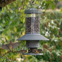 Automatic bird feeder with timer product photo