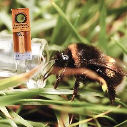 Beevive bee revival kit keyring, bamboo product photo