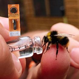 Beevive bee revival kit keyring, black product photo