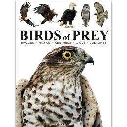 Birds of prey (mini animals) product photo
