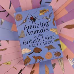 Amazing animals of the British Isles fact cards product photo