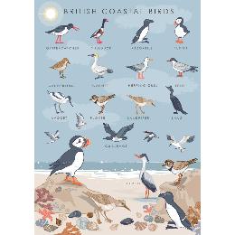 British coastal birds greetings card product photo