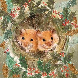 Cosy dormice Christmas cards, pack of 10 product photo