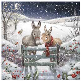 Donkey duet Christmas cards, pack of 10 product photo