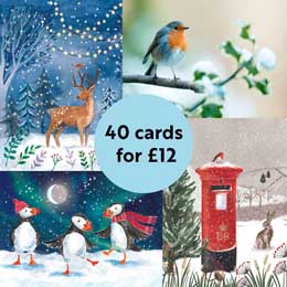 RSPB Fab 40 bumper pack charity Christmas cards product photo