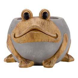 Frog planter product photo