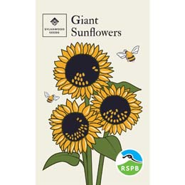 Giant sunflower seed pack product photo