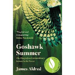 Goshawk summer by James Aldred product photo