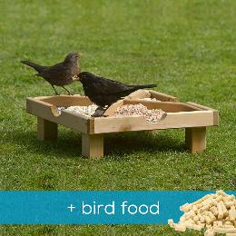 RSPB Ground feeding table & food offer product photo
