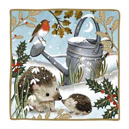 Hoglet's first Christmas Christmas cards, pack of 10 product photo
