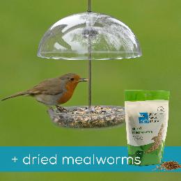 I love robins feeder & dried mealworms product photo