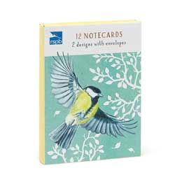 In the wild great tit & bullfinch bird notecards pack product photo
