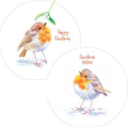 Inquisitive robins Christmas cards, pack of 10 (2 designs) product photo