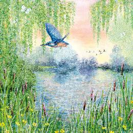 Kingfisher and willows greetings card product photo