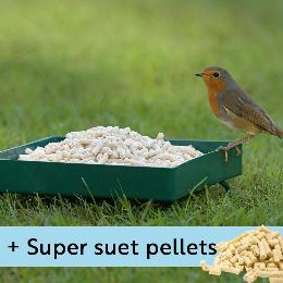 RSPB metal ground feeder and Super suet pellets - mealworm 1kg product photo