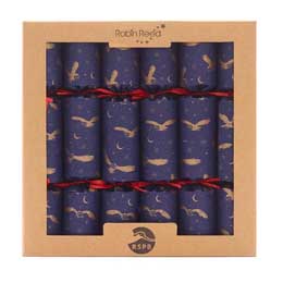 Moonlit owl recycled Christmas crackers with wooden tree decorations, box of six product photo